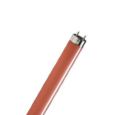 TUBO FLUORESCENTE 36W SUPERLIGHT ROJO