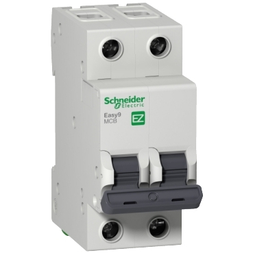 Interruptor Automático Schneider Easy MCB C 2x6A 6kA EZ9F56206